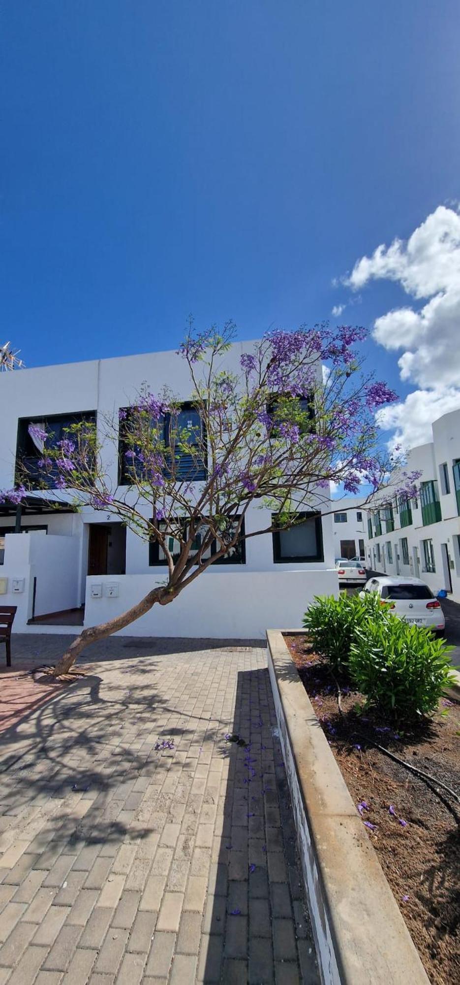 Apartamento Margarita Πλάγια Μπλάνκα Εξωτερικό φωτογραφία
