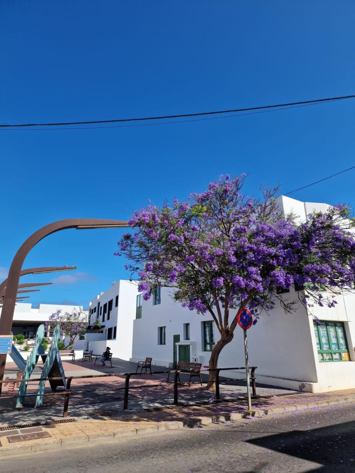Apartamento Margarita Πλάγια Μπλάνκα Εξωτερικό φωτογραφία